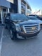 2018 Cadillac Escalade Platinum Edition