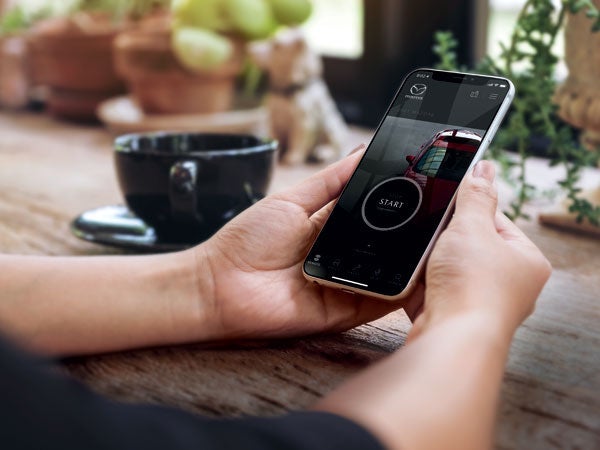 Brown & Wood Mazda in Greenville NC