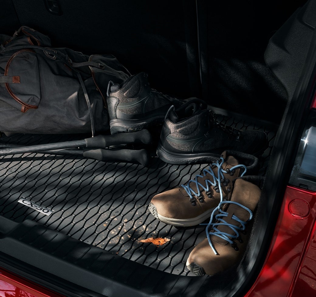 Brown & Wood Mazda in Greenville NC