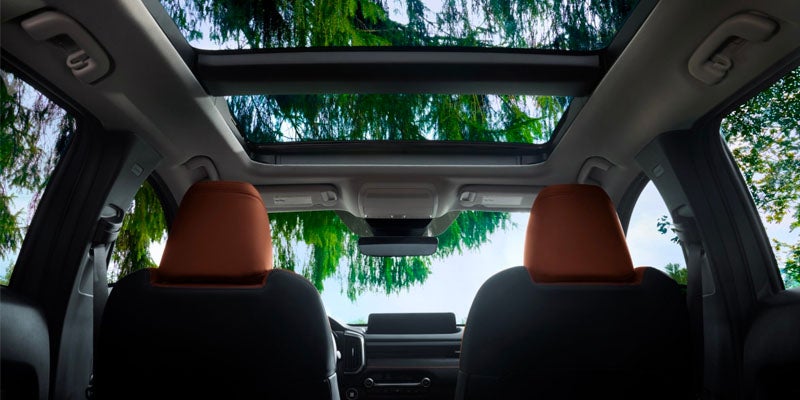 2025 Mazda CX-50 Interior and Moonroof Greenville, NC